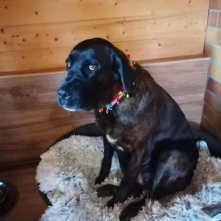 Jako U Babicky Apartamento